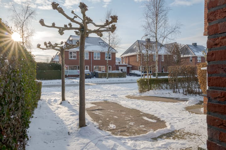 Foto 55 van Valeriaan 2-A