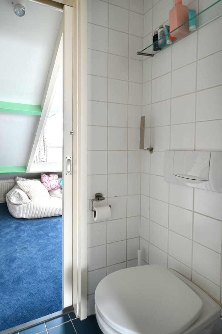 Foto 20 van Prof. Sproncklaan 14