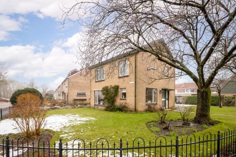 Dahliastraat thumbnail