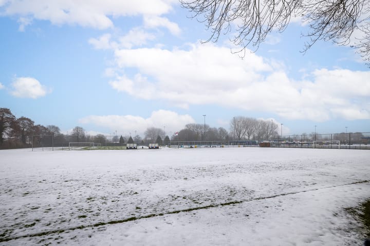 Foto 38 van Dahliastraat 110