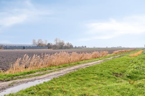 Franseweg 109 tertiary image