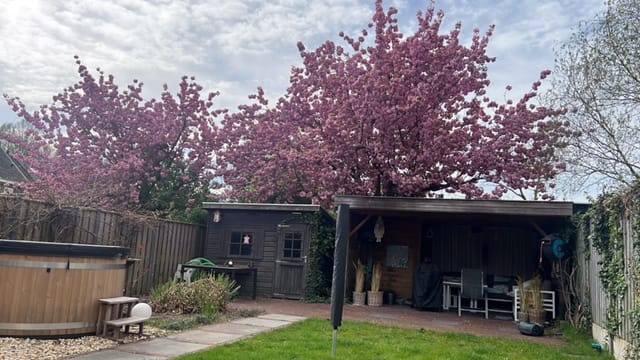 Photo 53 of van Peltlaan 248