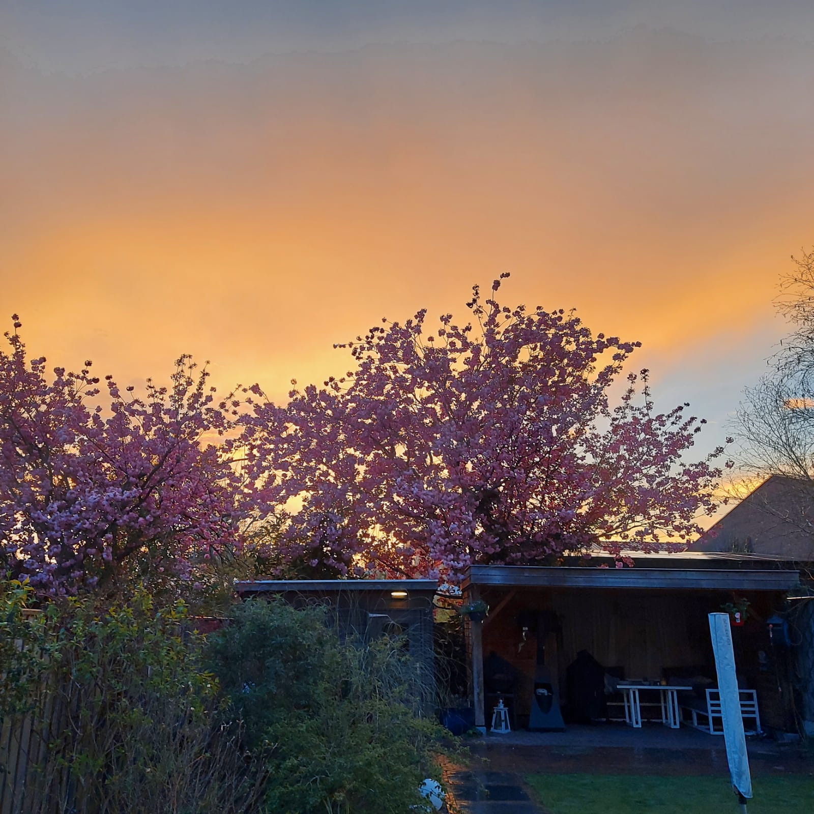 Foto 54 van van Peltlaan 248