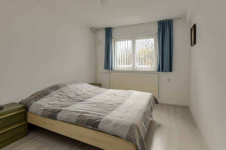 Foto 27 van Spank 50