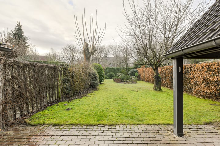 Foto 37 van Spank 50