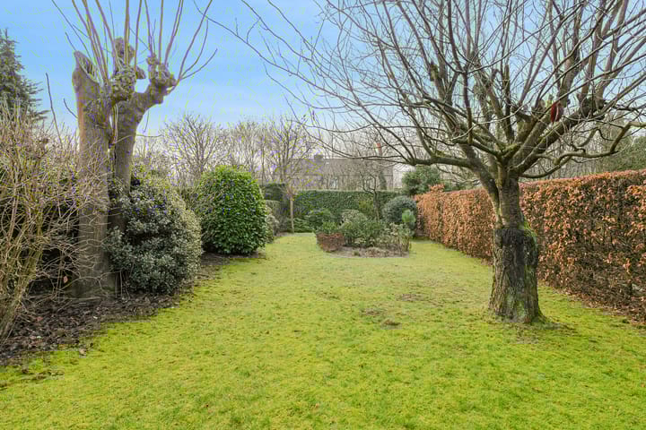 Foto 38 van Spank 50