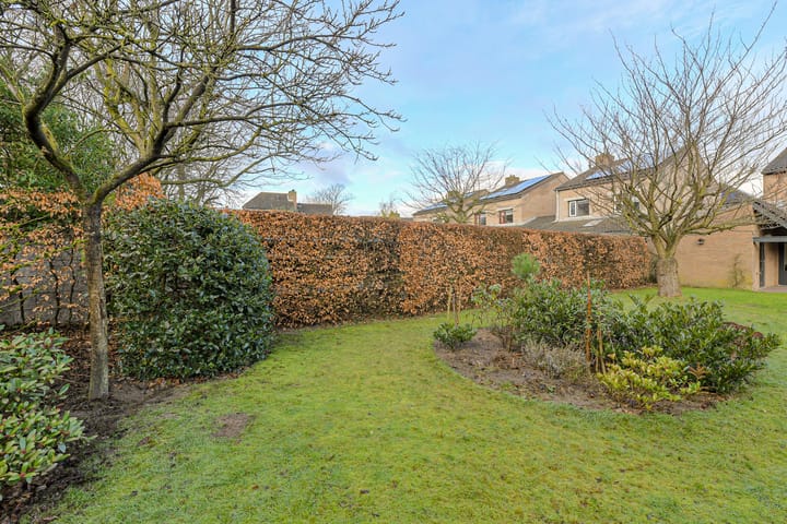 Foto 40 van Spank 50