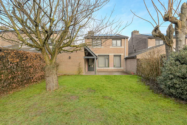 Foto 41 van Spank 50