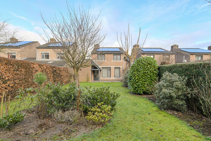 Foto 42 van Spank 50