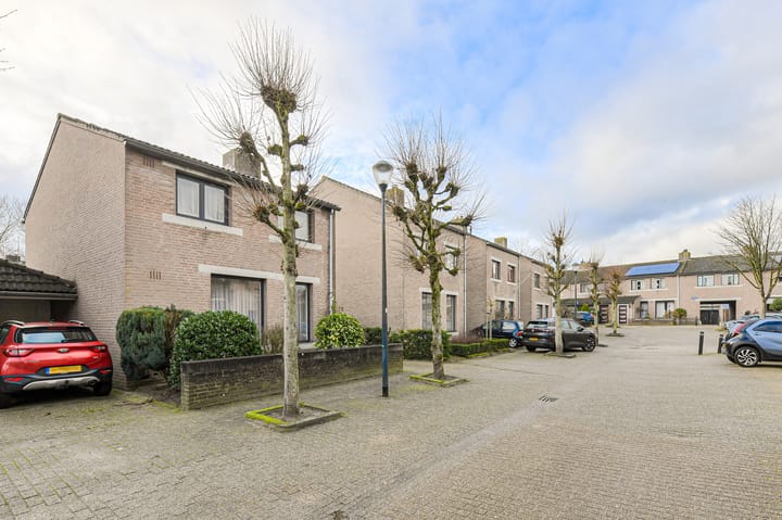 Foto 46 van Spank 50