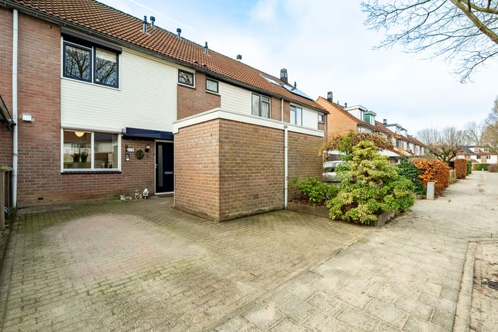 Photo 20 of De Grutto 178