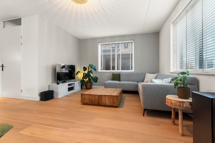 Photo 5 of Frankentaler 23