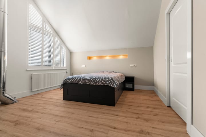 Photo 38 of Frankentaler 23