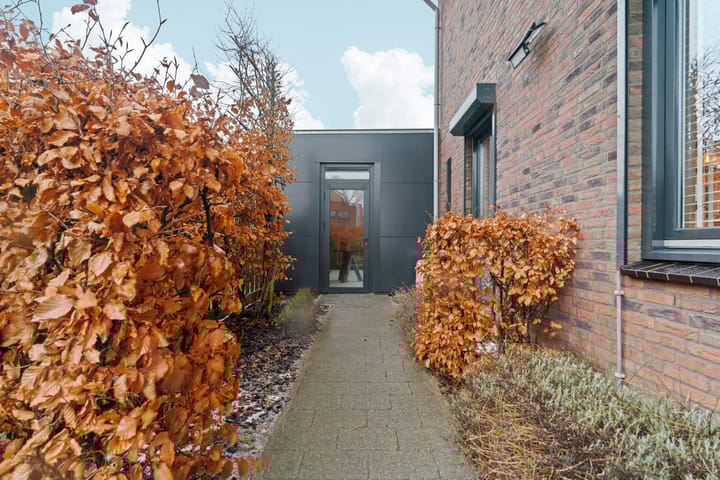 Photo 51 of Frankentaler 23