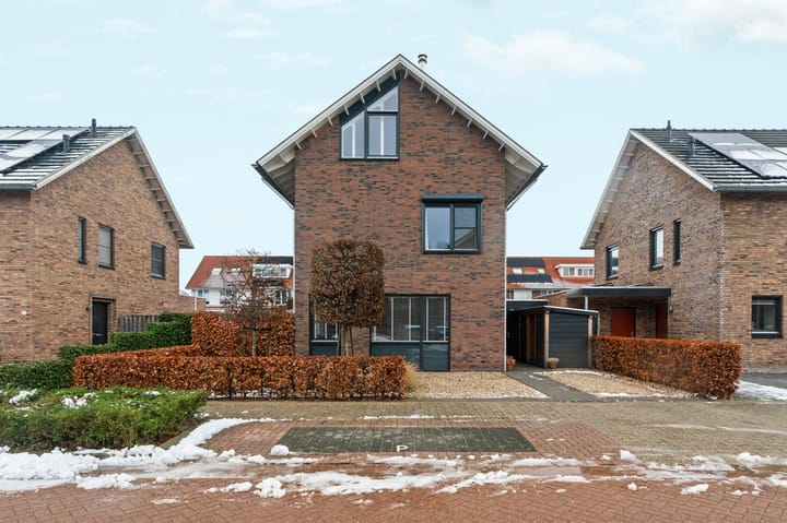 Photo 55 of Frankentaler 23