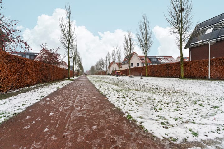 Photo 58 of Frankentaler 23