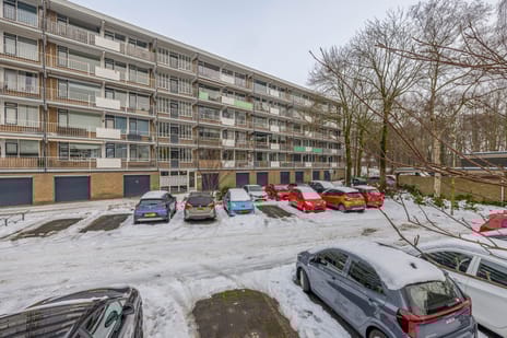 Werumeus Buninglaan thumbnail