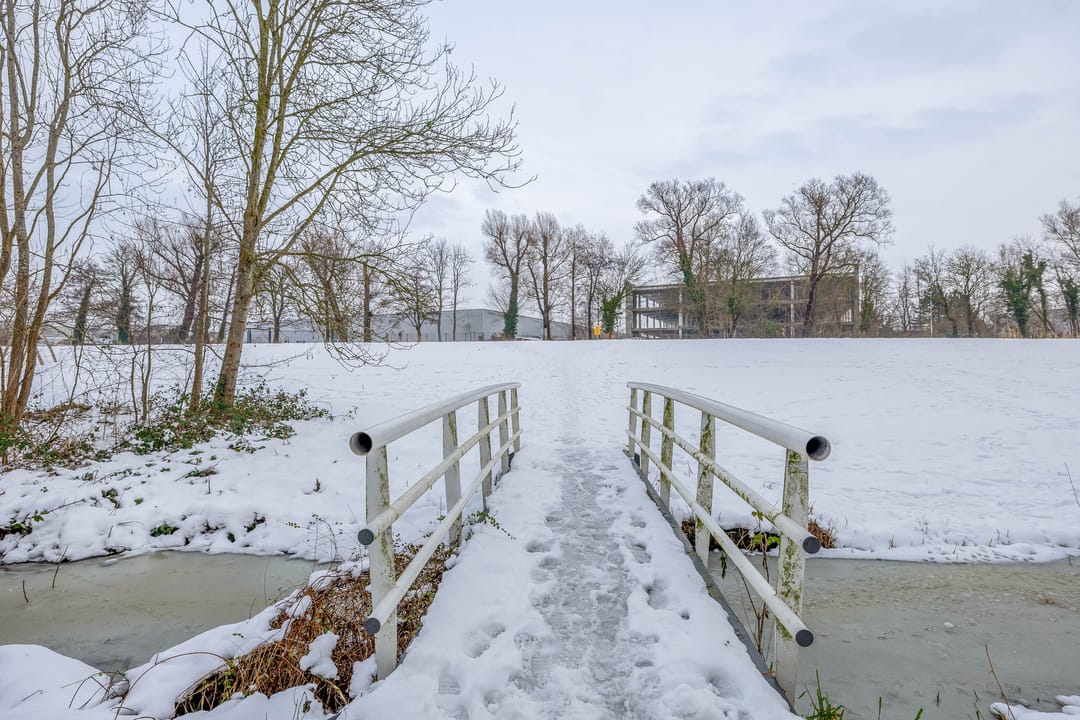 Foto 28 van Werumeus Buninglaan 122