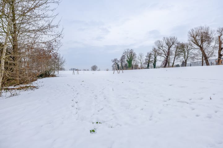 Foto 29 van Werumeus Buninglaan 122