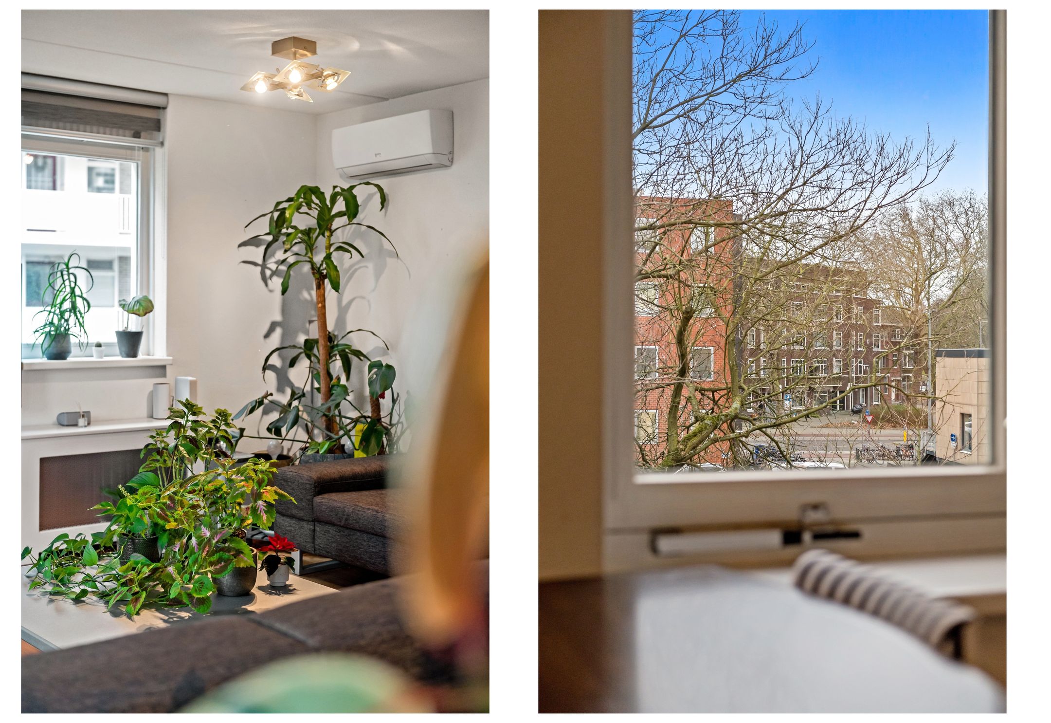 Foto 9 van Suze Groeneweglaan 14