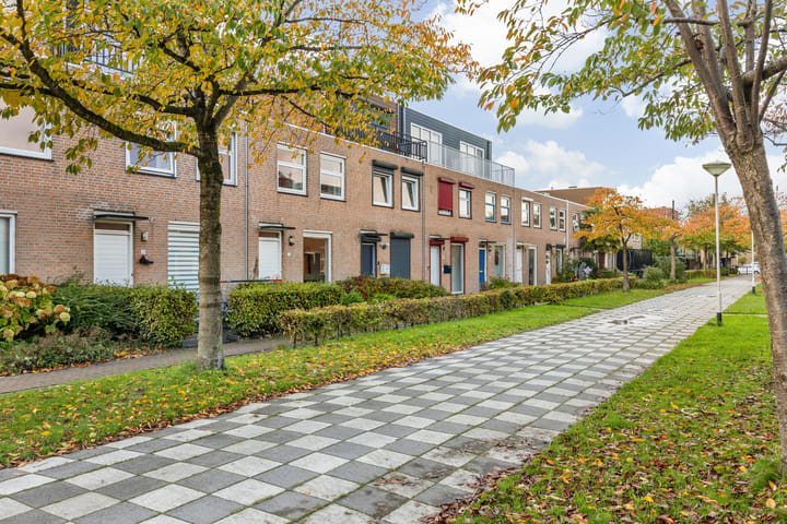 Foto 7 van Dambordje 22