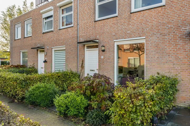 Foto 10 van Dambordje 22