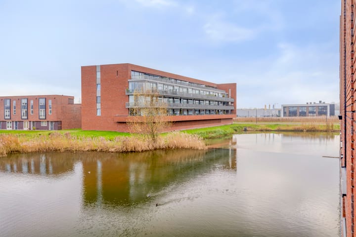 Foto 38 van Maasdijk 212