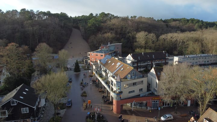 Foto 2 van Roode Leeuw 6