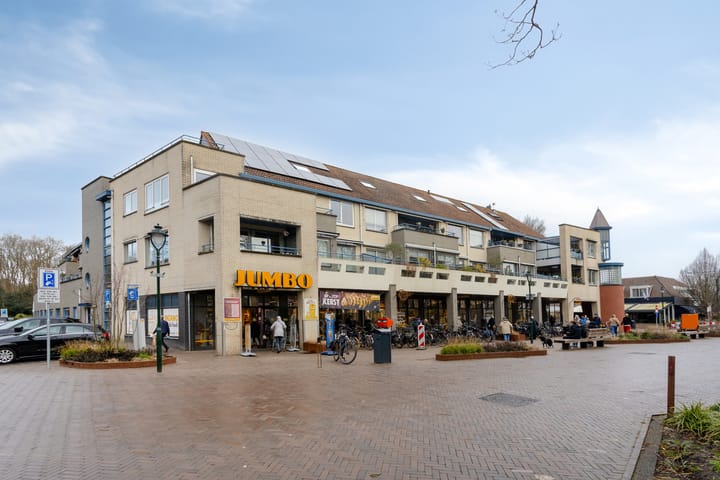 Foto 7 van Roode Leeuw 6