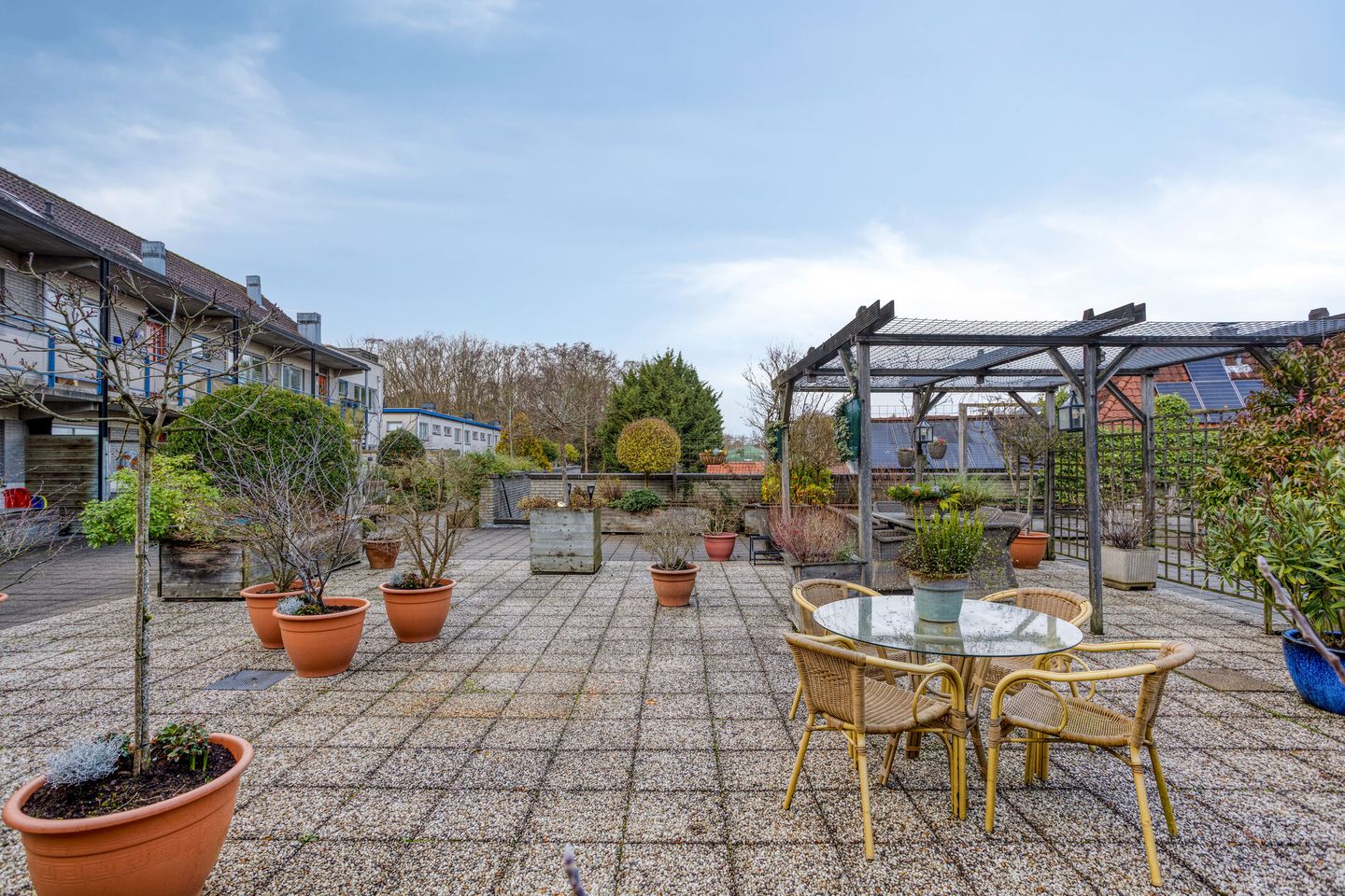 Foto 14 van Roode Leeuw 6