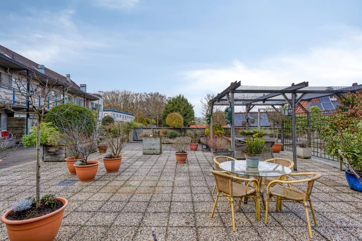 Foto 14 van Roode Leeuw 6