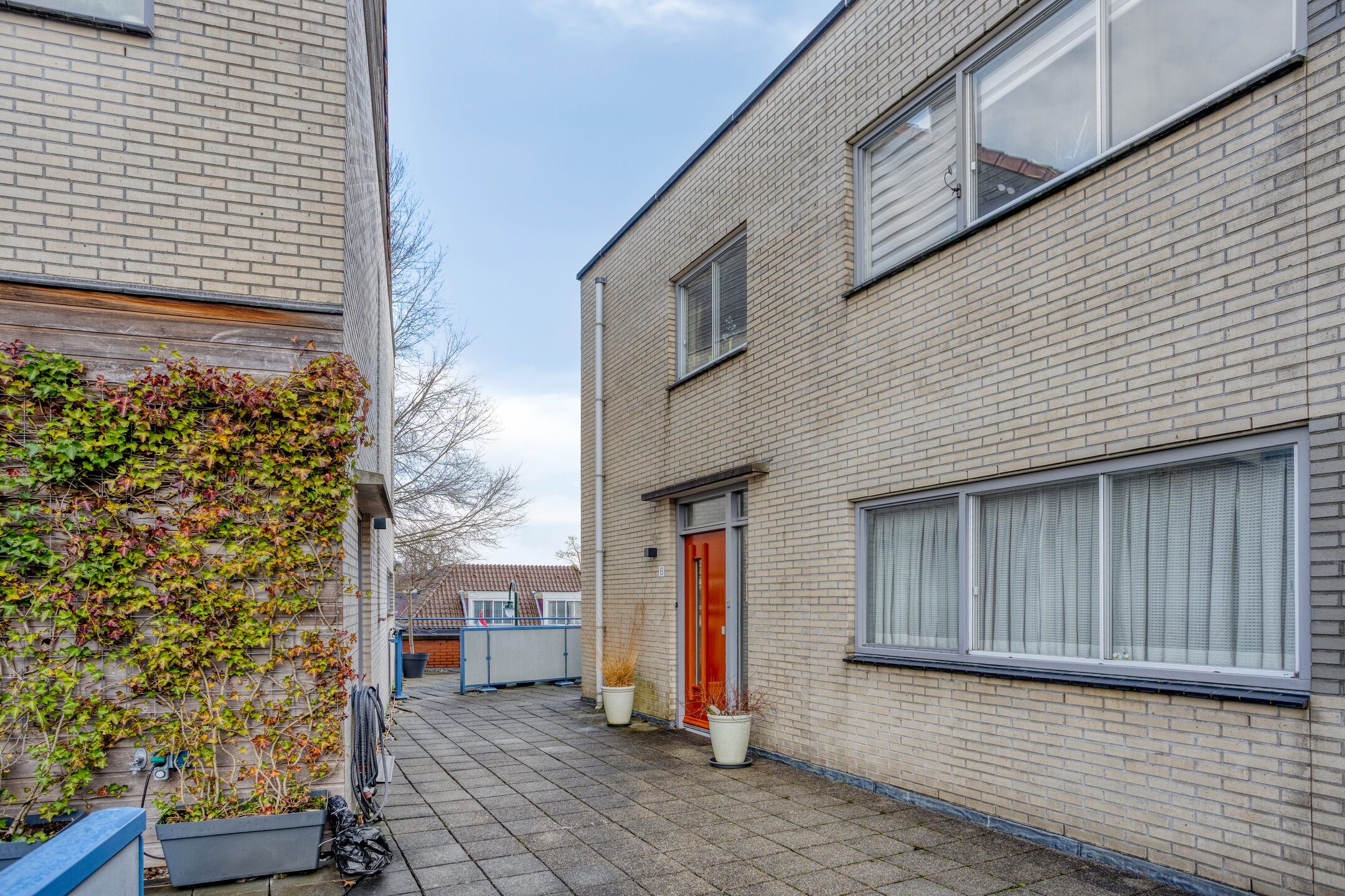 Foto 15 van Roode Leeuw 6