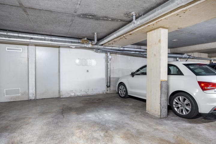 Foto 6 van Roode Leeuw 6