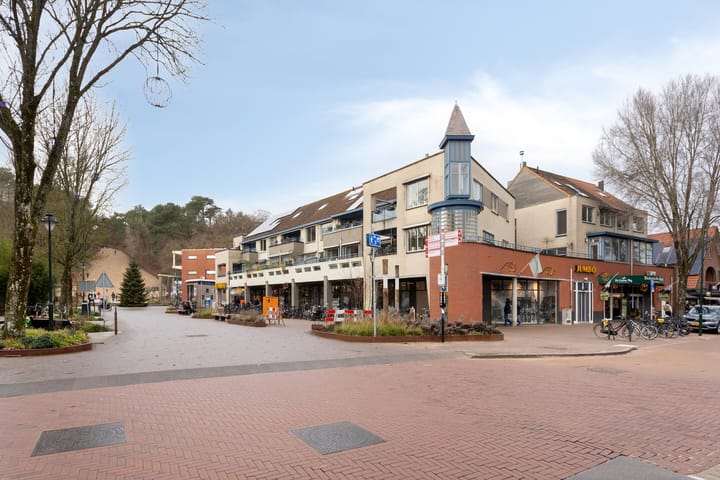 Foto 8 van Roode Leeuw 6