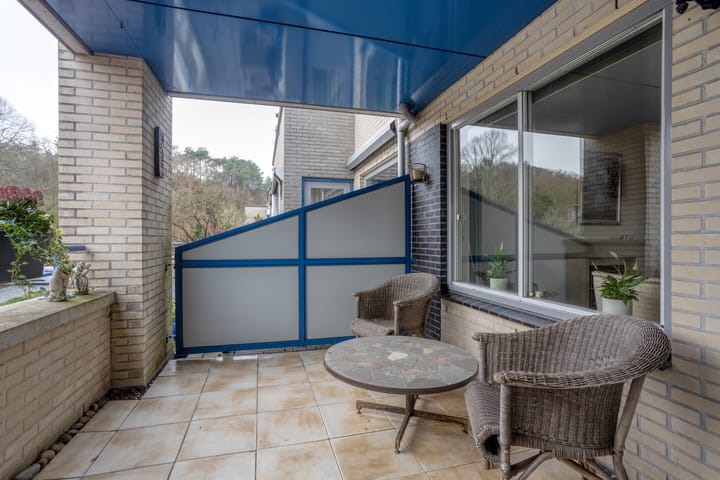 Foto 29 van Roode Leeuw 6