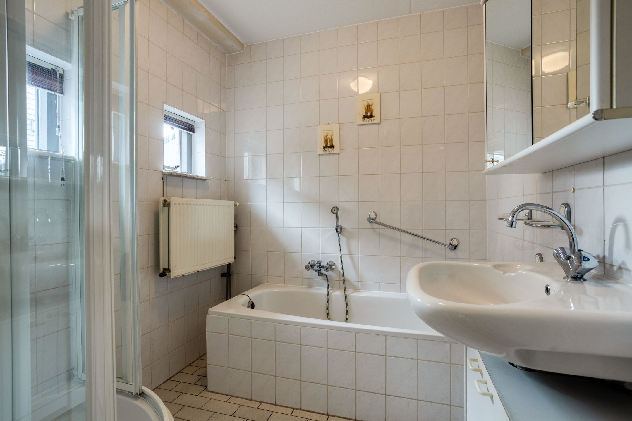 Foto 36 van Roode Leeuw 6