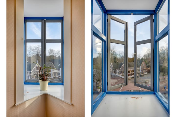 Foto 41 van Roode Leeuw 6