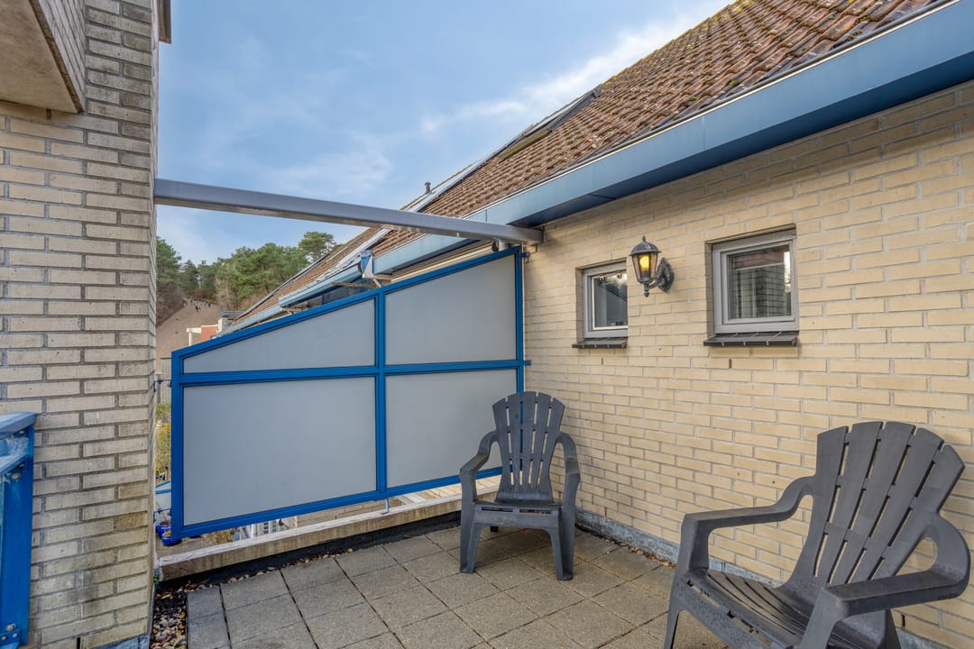 Foto 43 van Roode Leeuw 6