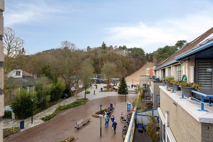 Foto 44 van Roode Leeuw 6