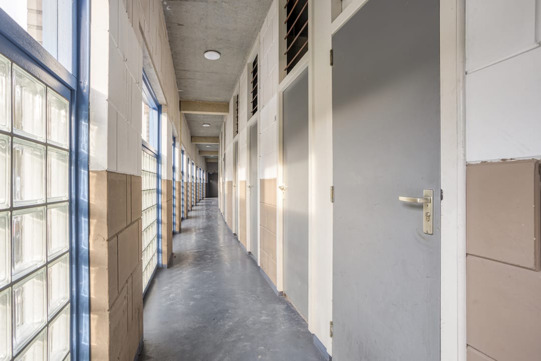 Foto 53 van Roode Leeuw 6