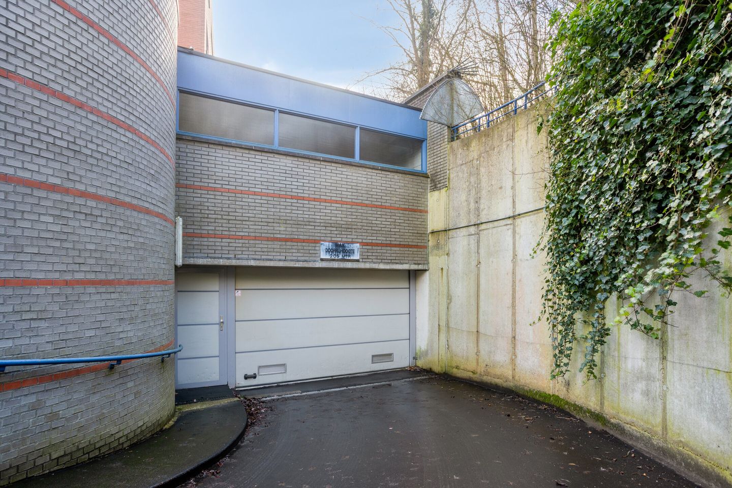 Foto 55 van Roode Leeuw 6