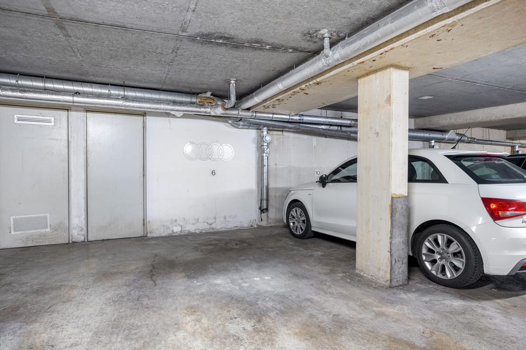 Foto 56 van Roode Leeuw 6