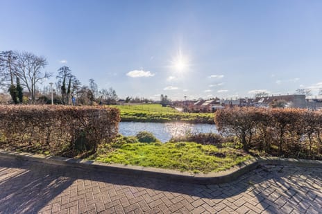 Zijde 336 secondary image