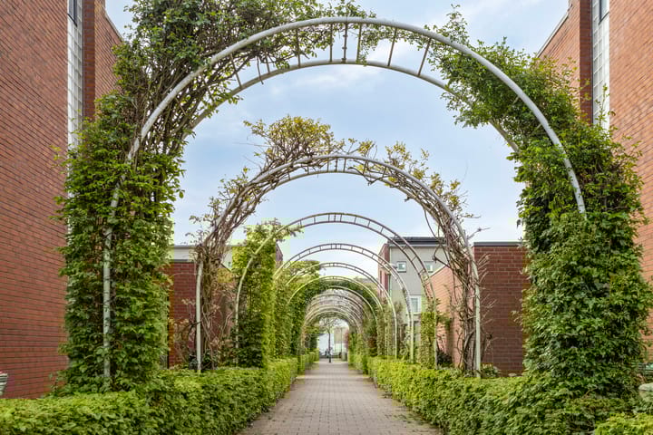 Foto 35 van Schout van Haestrechtsingel 28