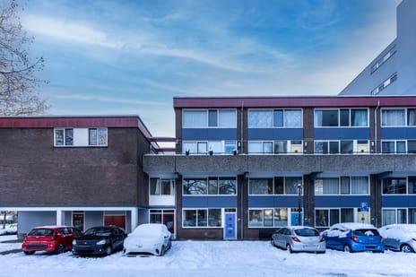 undefined main image