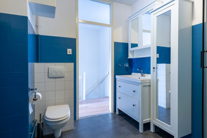 Foto 30 van Lijsterbesstraat 246