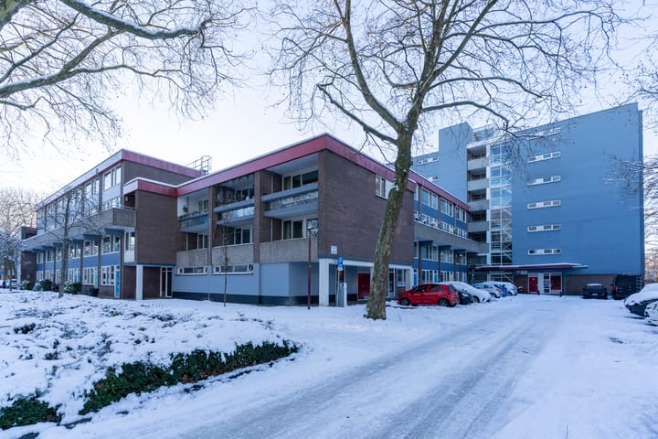 Foto 34 van Lijsterbesstraat 246