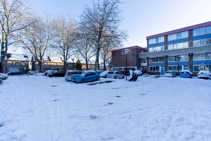 Foto 35 van Lijsterbesstraat 246