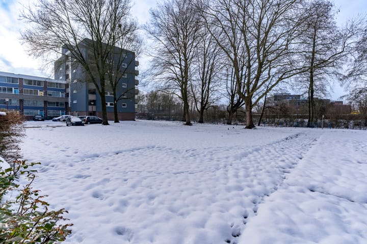 Foto 36 van Lijsterbesstraat 246