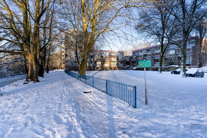 Foto 38 van Lijsterbesstraat 246